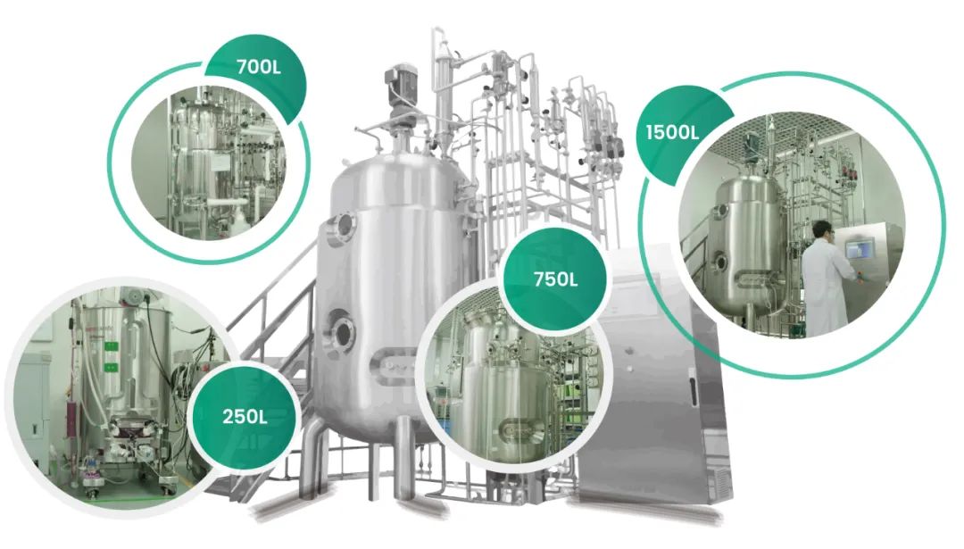 640 (19).jpg 640 (19).jpg