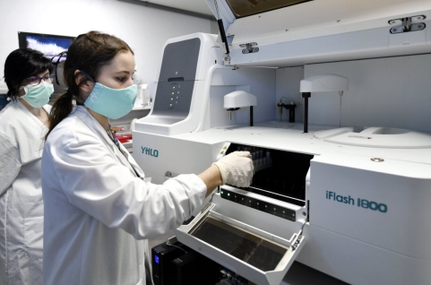 1734941199293812.png 1734941199293812.png